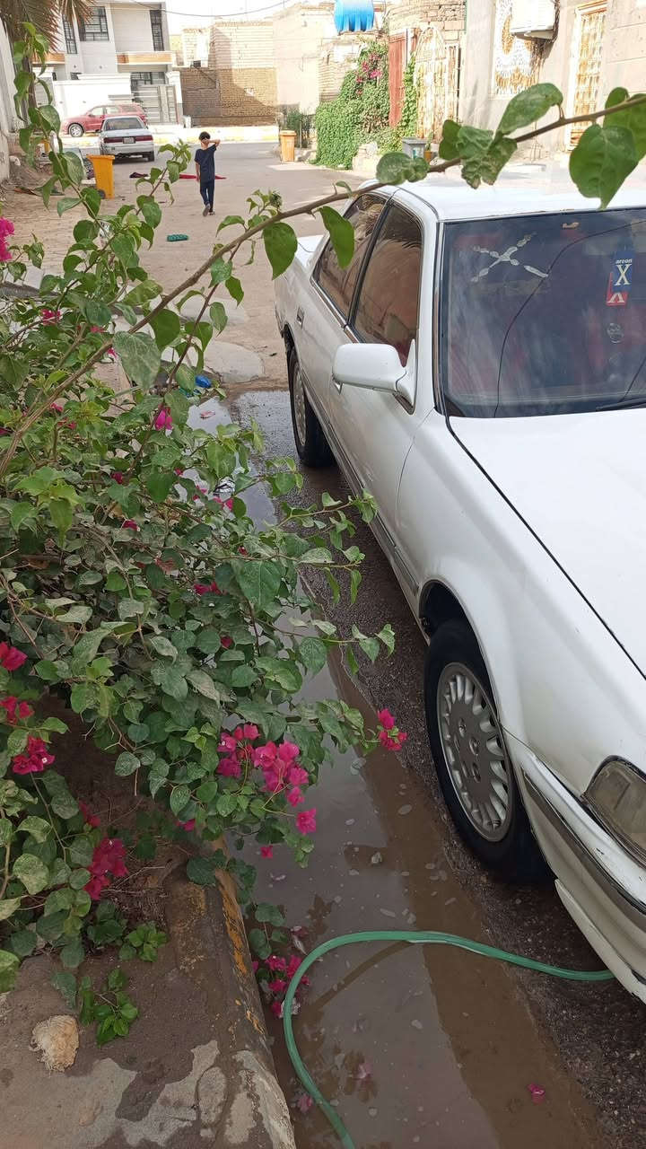 السلام عليكم
كرسته 91 جديده كير ومحرك جديد حداديه جديده مكفوله من الكص ونقل الجثه والعيب الشرعي تحويل ثاني يوم السعر 36 وبيها مجال قليل مكان الناصرية مركز الرقم ***********
