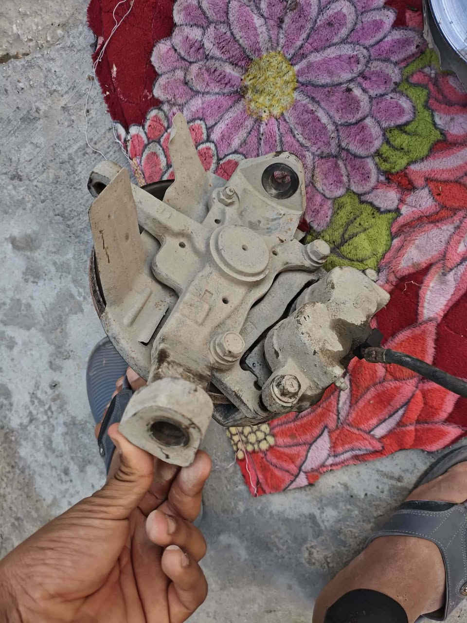 صطاب كسنات مال بريجو 2000 للبيع سعرهن ب65وبيهن مجال مكاني حله مركز ***********
