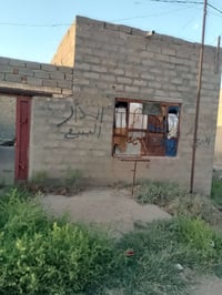 ٢٢٠م • ديوانية • قريب تبليط ٥٠م