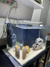 حوض ديكور • فلتر ومهوية • ٥٠×٣٦×٣٠ سم