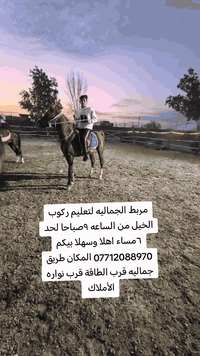 مربط الجماليه لتعليم ركوب الخيل من الساعه ٩صباحا لحد ٦مساء اهلا وسهلا بيكم *********** المكان طريق جماليه قرب الطاقة قرب نواره الأملاك
