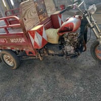 ستوته ام طير • الخالص الكوتي