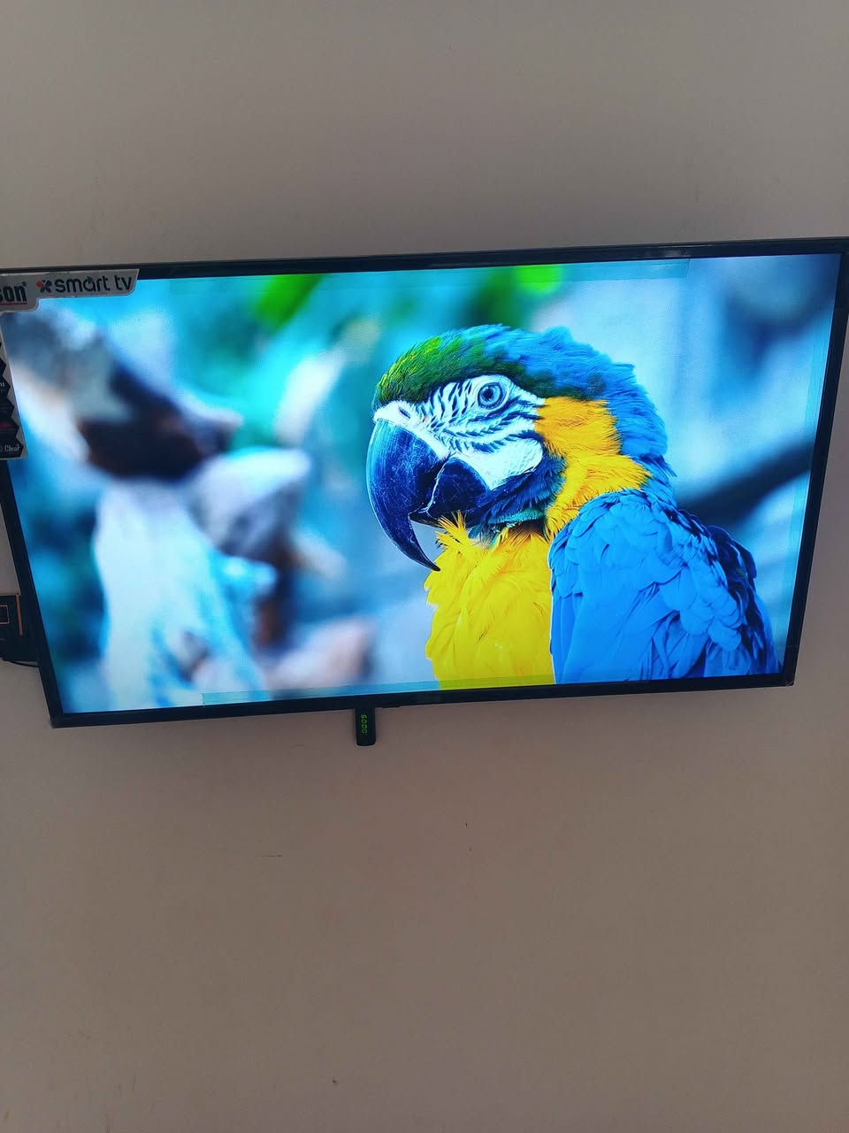 شاشه حجم 43 ام نت فور كي نوع جبسن تدعم جميع البرامج سعر 170وبيه مجال البصرة, العراق


**إذا كنت صاحب هذا الإعلان وتريد حذفه لأي سبب، رجاءا أرسل رسالة إلى الدعم الفني**