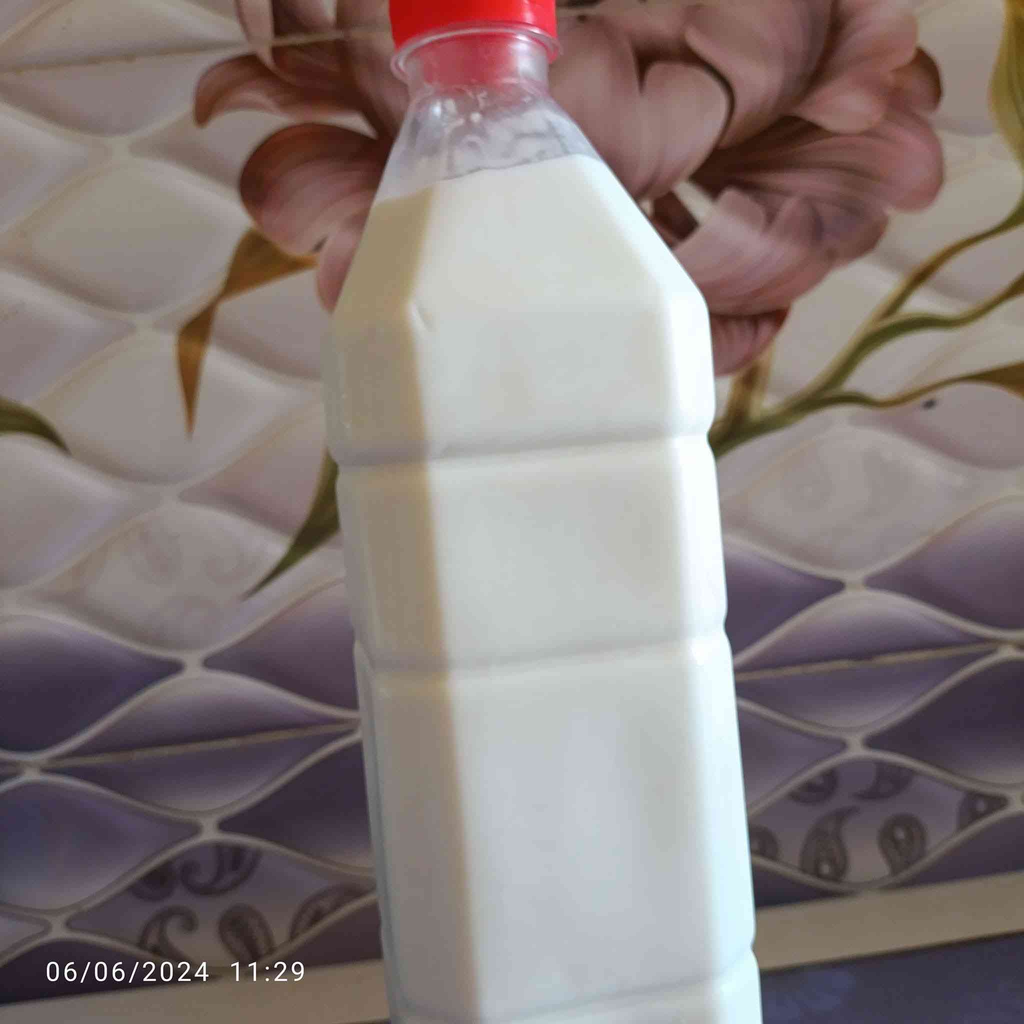 على بركة الله متوفر حليب جاموس أصلي وبراسة أمانة الله ورسوله
توجد خدمة توصيل داخل الصويرة مجانيه 
سعر البطل 5 الاف 
2 بطل ب 8 الاف 
4 بطاله ب 15
متوفر روبة ابقار 
متوفر روبة جاموس 
متوفر تمر بريم مجبوس  سعر الكيلو الفين الكيس 5 كيلو 
متوفر تمر برحي و بريم بالحبة حلو والسمسم حافظات الحافظة نص كيلو ب 1500 
يوصلك حليب اصلي وبراسة إذا مو اصلي لا تستلم الطلب 
للحجز مراسلتنا أو ***********
