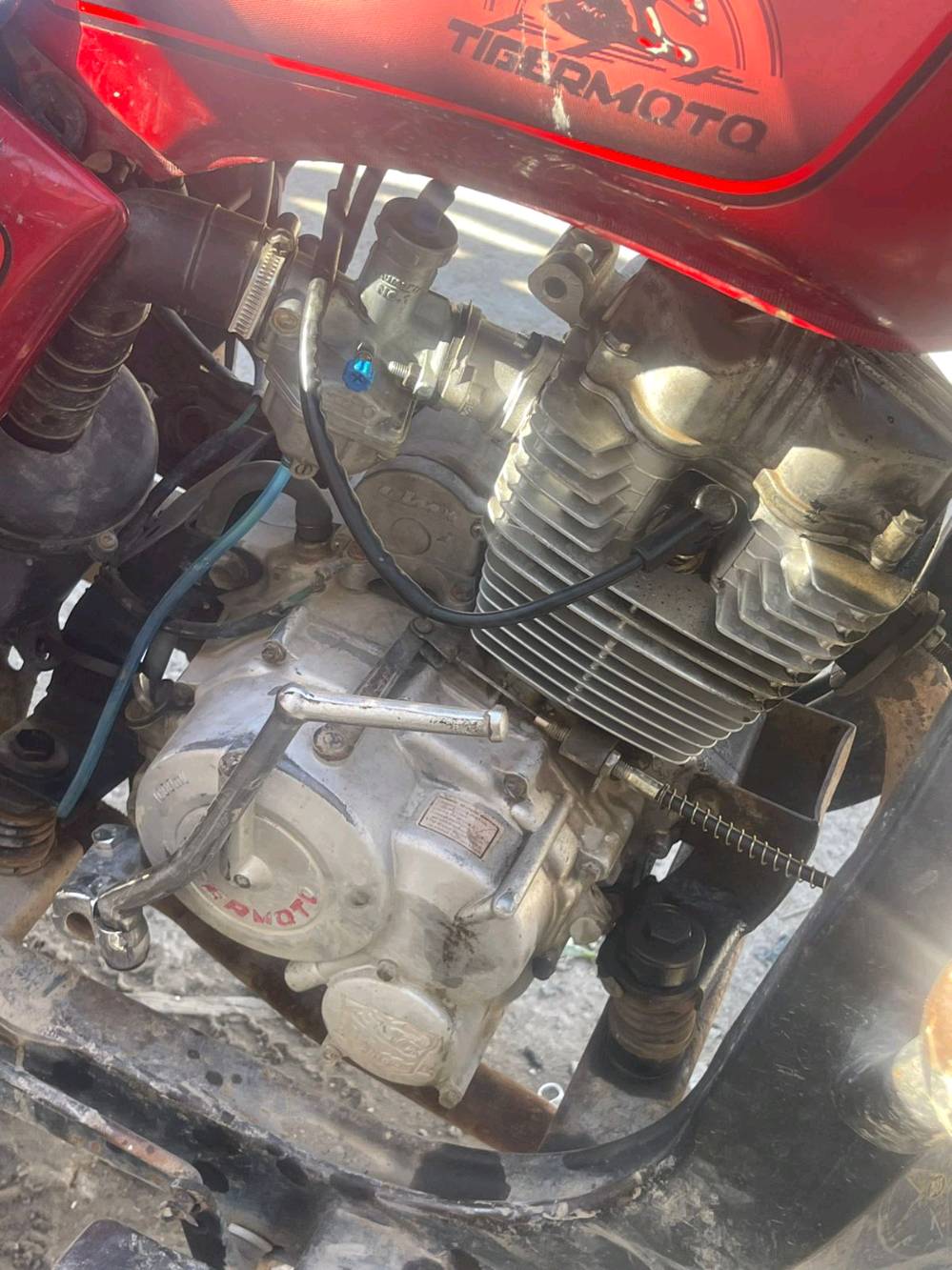 ديالى جديدة الشط قرية القصيرين