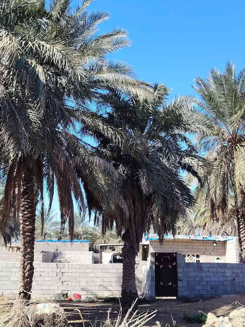 علئ بركة الله؟
أرض زراعيه للبيع (مساحه 7 ونص دونم) مع بيوت لعدد 3) (خدمات اساله تبليط كهرباء؟؟ 
ملاحضه (المساحه قطعه وحده للشط) باقي تفاصيل اتصال عل رقم (***********))
