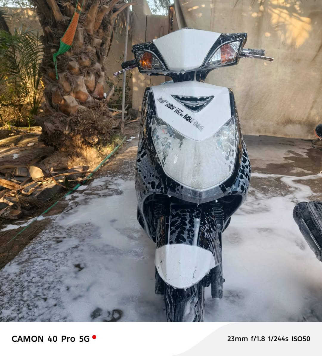 دراجه للبيع سكنس فحل على وضع الحاويه قبل شهرين من نزلته كلشي ابلاد تجي تفحص بيدك برقي ما مفتوح بيه السعر850وبيه مجال للشرايا***********
