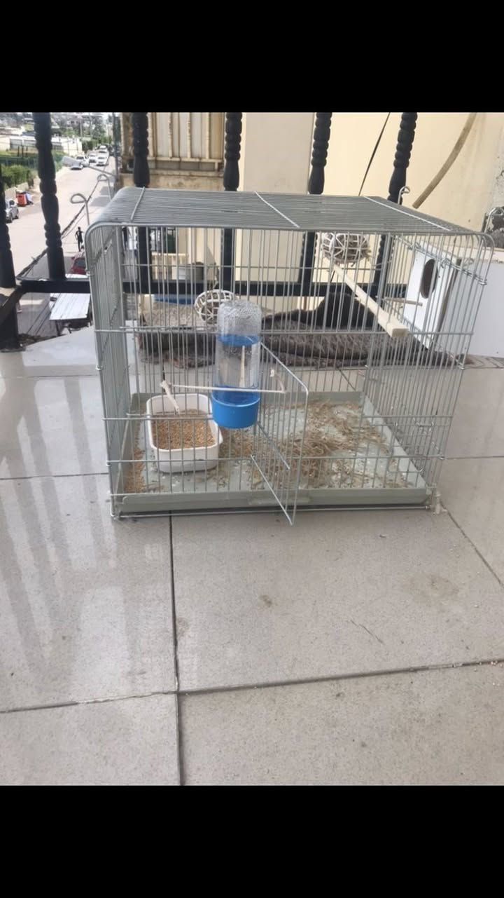 للبيع


**إذا كنت صاحب هذا الإعلان وتريد حذفه لأي سبب، رجاءا أرسل رسالة إلى الدعم الفني**