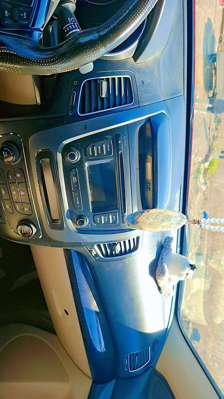 سورنتو موديل ١٤ فول للاخير لمتد كلين بدون ضرر رقم بغداد ٤ سلندر  باسمي مكانه ديالى بعقوبه  السعر ١٥٠


**إذا كنت صاحب هذا الإعلان وتريد حذفه لأي سبب، رجاءا أرسل رسالة إلى الدعم الفني**