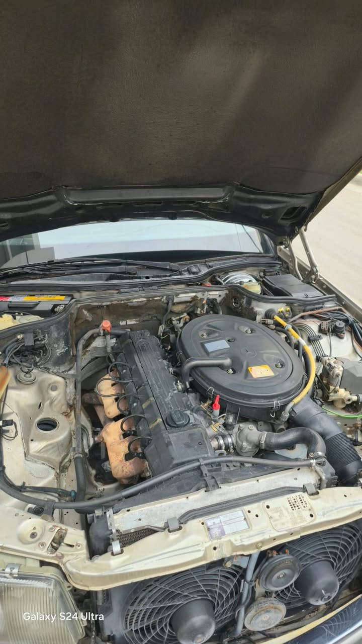 السلام عليكم
للرغابة مال رئاسي
مرسيدس جامبو 300 se 
لون شمباني موديل 1986
 السيارة معمره من الدعامية للدعامية 
حدادة نظيفة 
غرفة جديدة
مكينة و گير بلادي
سلايد جام
السيارة ما ناقصها شي مثل ما واضحة بالصور نظيفة
السعر ٧٠ ورقة و بيه مجال للشراي 
مكاني بغداد / القاهرة 

***********
***********
للأستفسار هاي الأرقام
