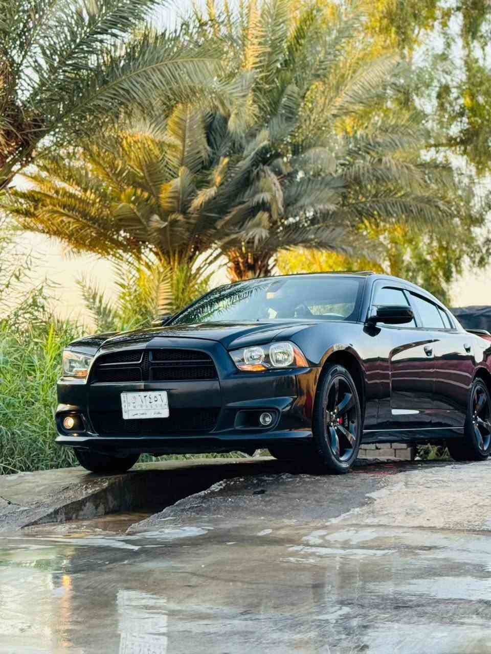 السلام عليكم 
السياره بيها ٥ قطع ٣ تبديل اصلي وثنين كلير من امريكا بدون دواخل  بدون شواصي بدون اريباك
محرك كير مكفول  سنويه مجدده هزه ما ساقطه سعرها ١٤٥
مكاني بابل رقم الهاتف ***********
