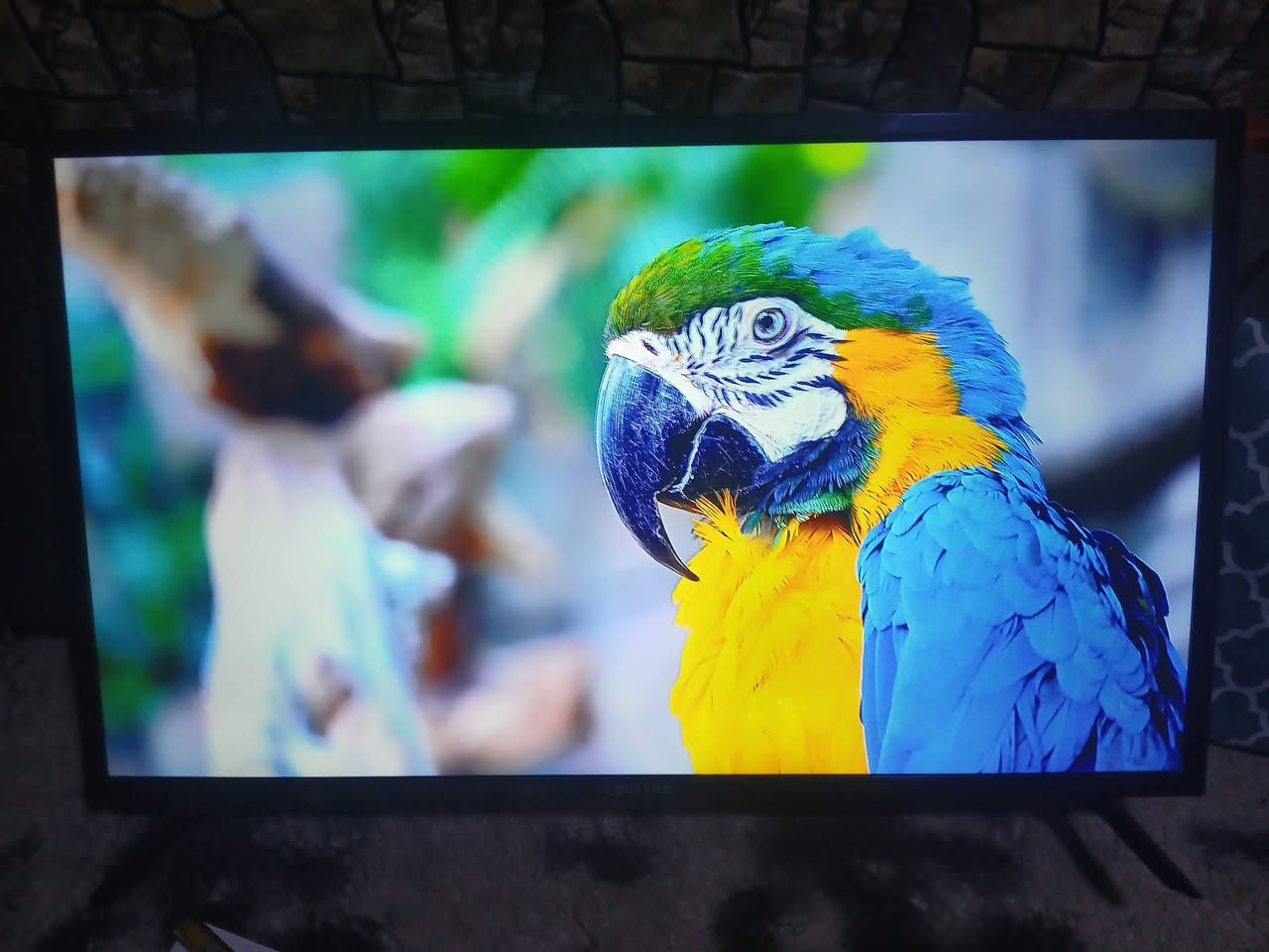 حجم 43 سمارت دقة 2k فول انترنيت سعر 160 استخدام شهرين يرهم ميز ويرهم تعليك


**إذا كنت صاحب هذا الإعلان وتريد حذفه لأي سبب، رجاءا أرسل رسالة إلى الدعم الفني**