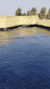 فلوسك_عندك_لمن_يكمل_سطحك 💸***********
احمي سطحك من الرطوبه ….

تطبيك السطوح بالاشتايكر  والاوزيگام

وترميم السطوح القديمة  وأعادة الماستك وتزفيت السطوح  كرستة وعمل 

  شغل درجة اولى 

زفت 
نايلون زراعي 
فلين او فووم حسب الطلب 
زميج
اشتايكر درجة اولى 
ماستك 

العمل في ذي قار 

.. للاستفسار الاتصال او مراسلة ع الواتساب 
👇

الاتصال  ***********
الوتساب  ***********
الخاص مفتوح
