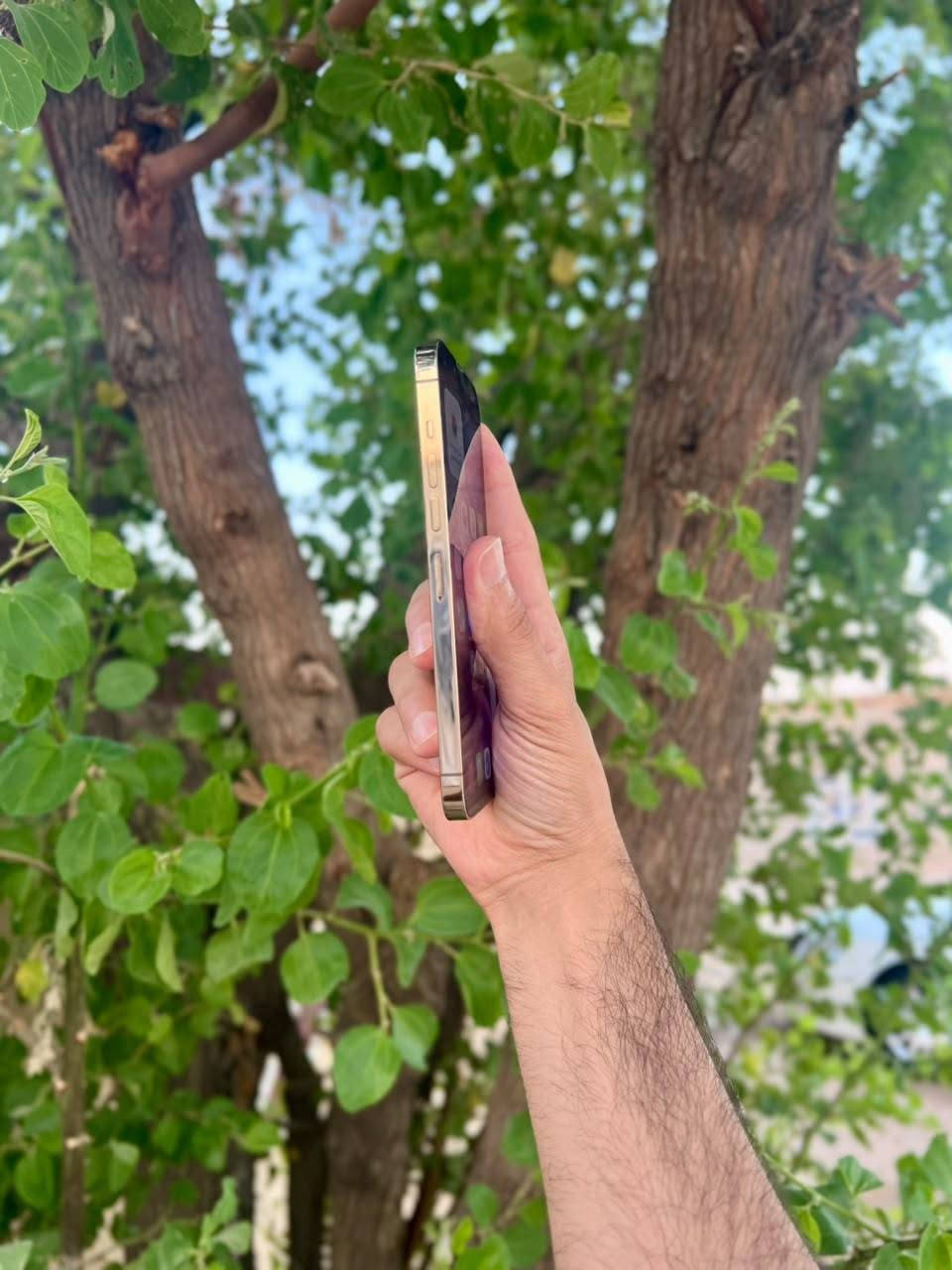 13 برو ماكس
13 برو ماكس للبيع 
بطاريه 79 ذاكره 256 نموذج M 
النجف الاشرف


**إذا كنت صاحب هذا الإعلان وتريد حذفه لأي سبب، رجاءا أرسل رسالة إلى الدعم الفني**