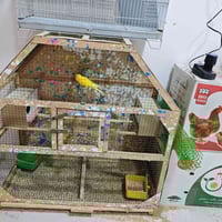 اقفاص • للبيع