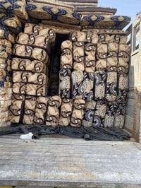 ديوان كويتي • درجة اولى • ميسان الكحلاء السراي