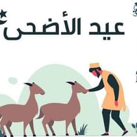 مستعدون لذبح الاضاحي في العيد داخل الدورة فقط  اجيك لباب البيت  الغنم ...