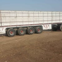 عربانه البيع فصال سوري اربع دنكير 07707220620(07515419873