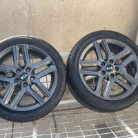 عندي ويل كب مال فورتي حجم 17تخم كامل للبيع مكاني بوب الشام رايده 350 ا...