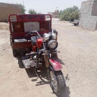 ستوته البيع بدون 07725333513