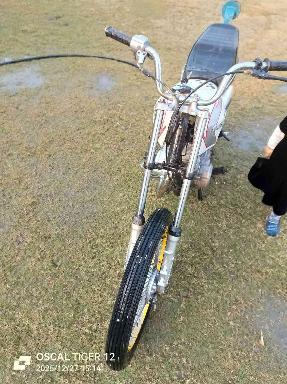 كلك كلك كلك للبيع مكان نجف عباسيه

اتصال ***********
