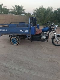 ٢٠١٩ • أوراق أصلية • مكفولة ٢٠٢٥
