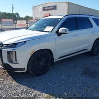 بلاسايد • ٢٠٢٥ • كاليجرافي نايت