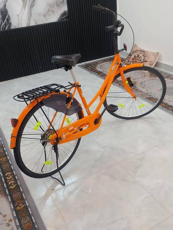 سلام عليكم
تم وصول باسكلات وجبه جديده الباسكلات فول الفول واحد على واحد شرط بنسب الاسعار تواصل على الرقم *********** مكلف بلنشر
