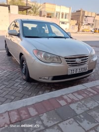 النترا • ٢٠١٠ • وارد امريكي