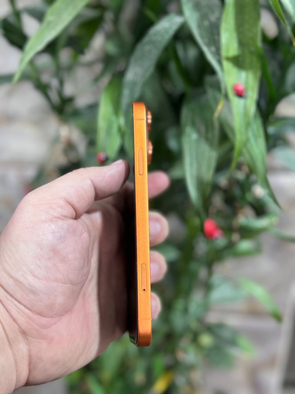 السلام عليكم
ايفون XR محور 17  ذاكرة 64 
فيس ايدي شغال 
بطارية 100 ‎%‎ مستبدلة 
واتس *********** 
العنوان المجموعة الثقافية عمارة سنتر الجزيرة مقابل رصيف الكتب / مارفيلا فون
