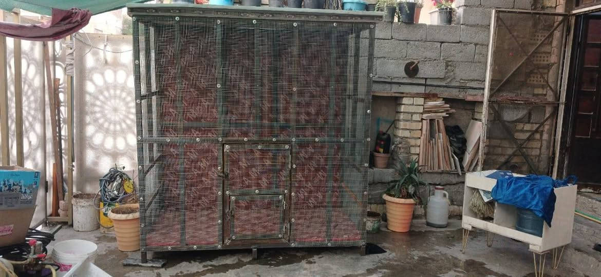 سلام عليكم قفص طيور حب درجة أولى الطول 2متر  وارتفاع 2متر ام العرض 1متر السعر 350 الف الرقم ***********
