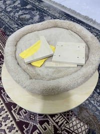 بيت قطط • خشب ثقيل