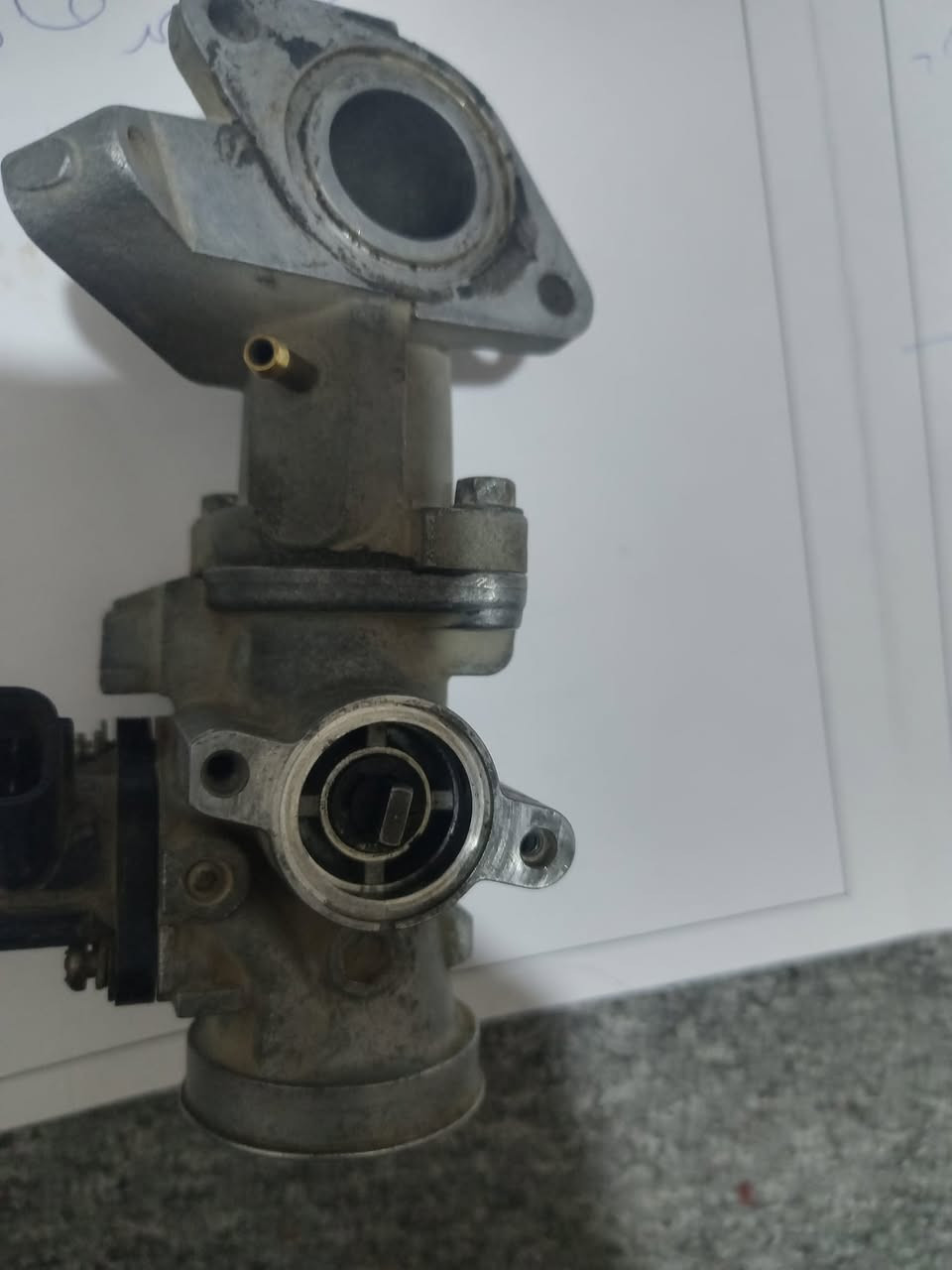 جويتر ادرس شرط الفحص سعرة 30
زين القوس ***********
