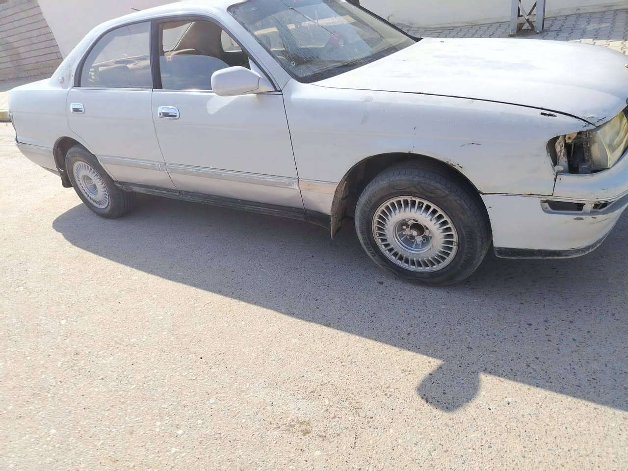 بطة كص تكم جلسة سعر 16
***********
