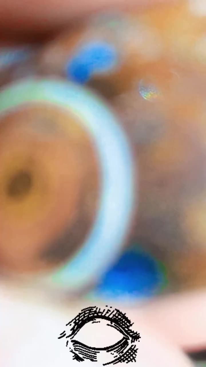 مشاء الله حجر عقيق سليماني دبل عين دموي 700جنيه لاول حاجز لتواصل والحجز 01016147535


**إذا كنت صاحب هذا الإعلان وتريد حذفه لأي سبب، رجاءا أرسل رسالة إلى الدعم الفني**