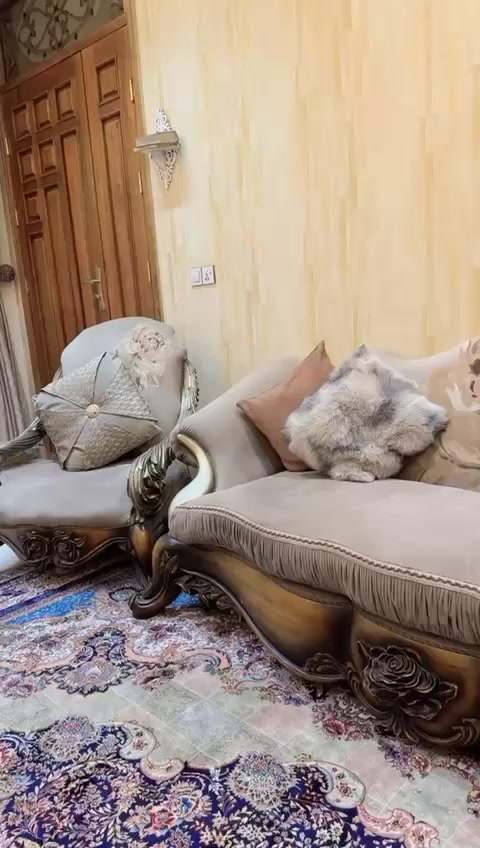 تخم ب٦٠٠ مكان بلديات بي مجال بسيط


**إذا كنت صاحب هذا الإعلان وتريد حذفه لأي سبب، رجاءا أرسل رسالة إلى الدعم الفني**