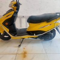 سكنس ثعلب • ماكس • ٩٠