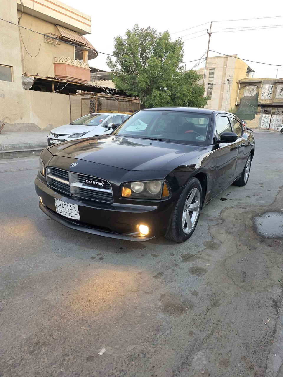 جارجر 2010 .... كنديه كفاله عامه فقط بسها جرات كارت بسيطه ..... بالدواير الخلفيه .... مكينه توني شادها ٣٥٠٠ بعدها بالضمان .... دواخلها تخبل وراعيها يريد تحويل حداده نص عمر بجم زنون ... سونارها مرفوق بالمنشورر 
السعر 100 ... مجالها شي قليل 
مكاني بصره ....ترهم مراوس حسب القناعه ...
***********
بي وتساب خاص ممتوفر البصرة, العراق
