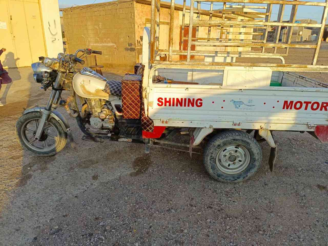 ستوته للبيع ام الطير ***********
