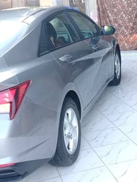 عنتره 23 للبيع السعر 160 وبيها مجال07879053709