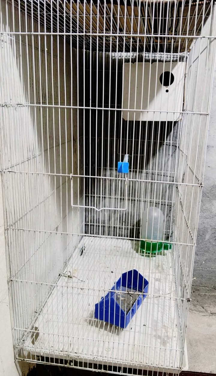 قفص طيور الزينه مستعمل  للبيع  السعر. 60 مكان ميسان العماره


**إذا كنت صاحب هذا الإعلان وتريد حذفه لأي سبب، رجاءا أرسل رسالة إلى الدعم الفني**