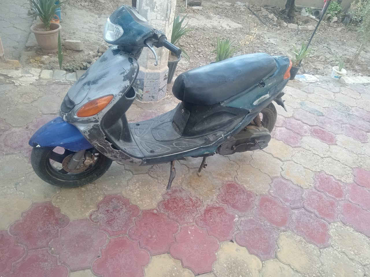 دولفين مفتوحه مره شغاله نقصها بس الكهربائيات الدراجه متروكه من زمان السعر 280و بيها مجال او مراوس ***********واتساب
