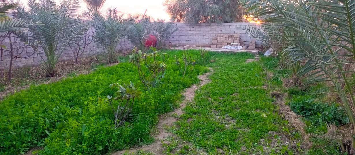 قطعه ارض للبيع
قضاء الحي الكراده داخل فرع 
المساحه 350م 
السعر 32وبيه مجال للشراي 

اتصل ع رقم ***********
