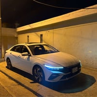 النترا ٢٠٢٤ • فول فول • أربيل