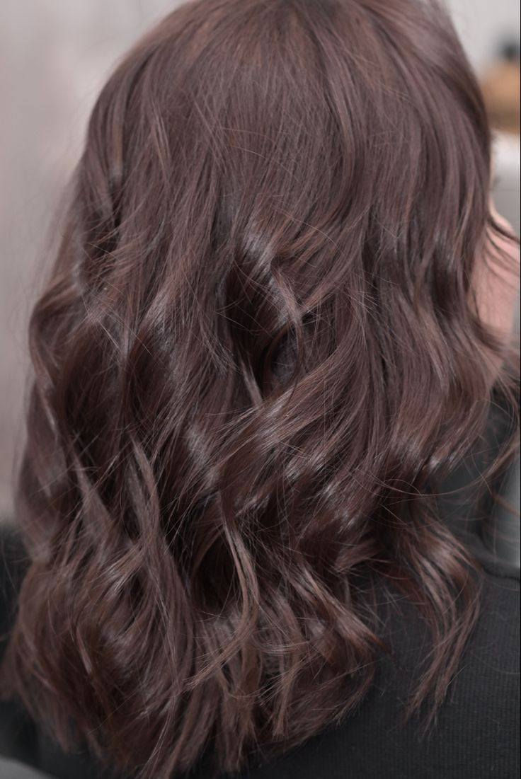 اهلا وسهلا  رمضان كريم
شرفونهه  انستقبلكم  باجمل  العروض وي صالون الين عروض جمالل ونارر مراح. تحتار   احجز ايام العيد قريبهه  وي صالون الين العيد غير  
عروض العيد
اوقات العمل خلال فترة رمضان 
من وره صلاة الضهر وبعد افطار
عروس حنه وزفه 200💃🏻💃🏻💃🏻
فقط زفه 100🎈💃🏻
فقط حنه 75🎎🔥🎉🎊🎈💃🏻
المدعوات 15🎊💃🏻🎈🎈
تنظيف البشرة هايدرو 5ب💃🏻🎊
تنظيف البشرة ملكي ب15🎉
تنظيف  اليد 5🥳💃🏻💃🏻💃🏻💃🏻💃🏻
حفافة 5
شمع للوجه  7
بديكير 10مع املاح طبيعية 
الماكير 20🎈🎈🧸
سحب لون شعر 10 الطويل جوه خصر ب15
صبغ شعر قصير جداً 10💃🏻🎎🔥المتن 20وسط 25 الطويل حسب طول الشعر 
ميش كثيف قصير 20 فما فوق حسب طول الشعر 🎎🔥💃🏻
تسريح الشعر يخلي شعرج سرح حسب طول الشعر 
قص 5 اي قصه 
معالج لترميم وتغذية الشعر القصير 20 فما فوق حسب طول الشعر🎉🎊🎈
اهلا وسهلا بلجميع 
صالون الين
العنوان//كربلاء حي الرباب قرب سيد سماعيل 
الحجز //***********
***********
