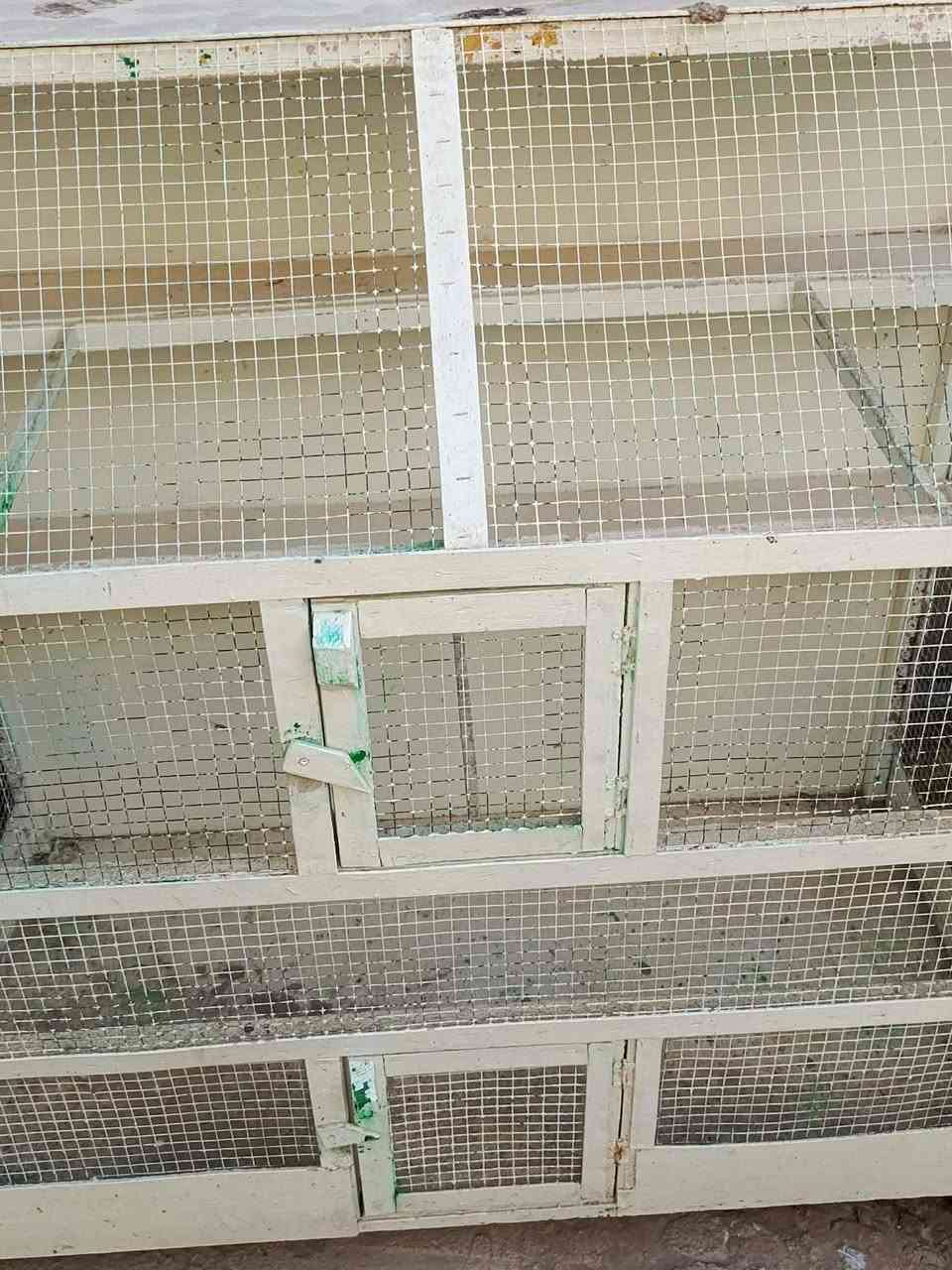 فاصه اثنين سعرها 70


**إذا كنت صاحب هذا الإعلان وتريد حذفه لأي سبب، رجاءا أرسل رسالة إلى الدعم الفني**