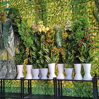 زبائنا الكرام سوف نعرض بضاعتنا لكم علئ برنامج تك توك يوم غدا الساعه 10...