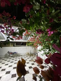 گريطعه • ٢٠٠م • غرفتين وصاله