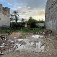 حي الامير الزراعي • ١٢٧م • واجهة ٧،١٠م