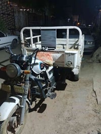 ستوته • موديل ١٩